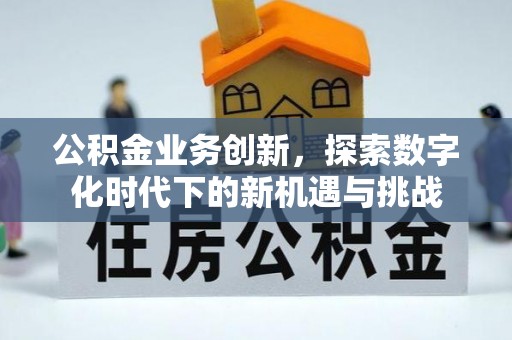 鲁甸公积金业务创新，探索数字化时代下的新机遇与挑战