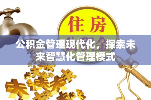 鲁甸公积金管理现代化，探索未来智慧化管理模式